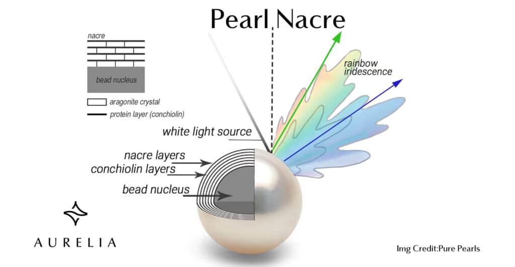 A scientific diagram showing a cross-section of a cultured pearl, illustrating how layers of nacre and conchiolin around a bead nucleus reflect light to create luster and iridescence.