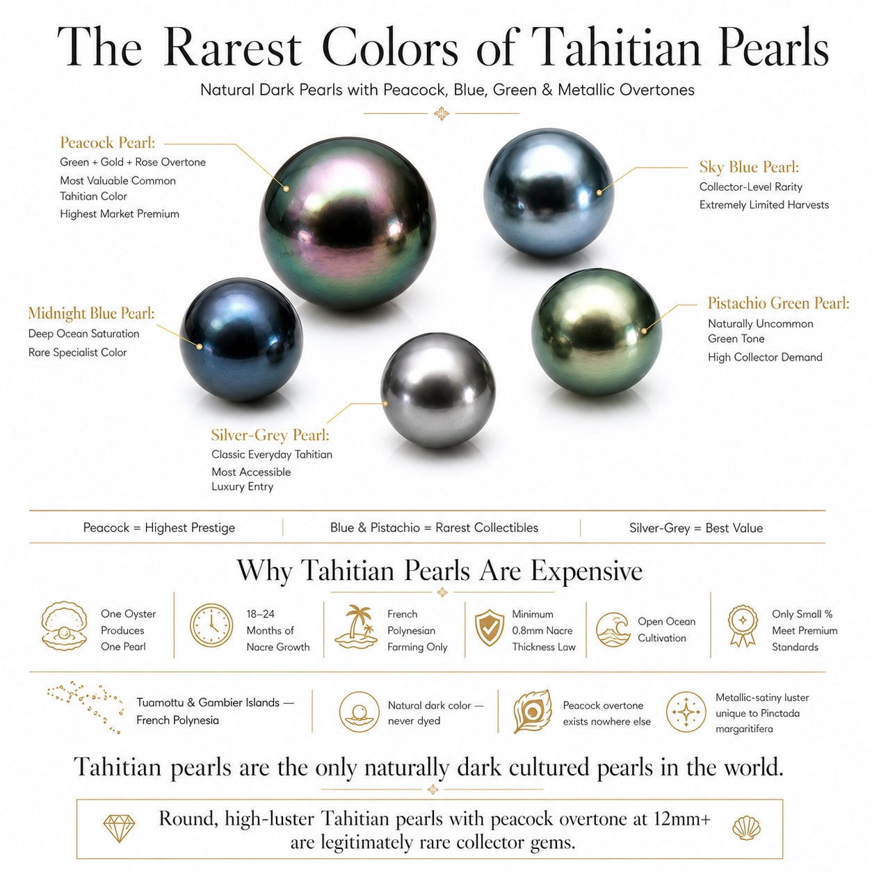 Luxury infographic showing the rarest Tahitian pearl colors including peacock, sky blue, midnight blue, pistachio green, and silver-grey Tahitian pearls with natural dark overtones and metallic luster.